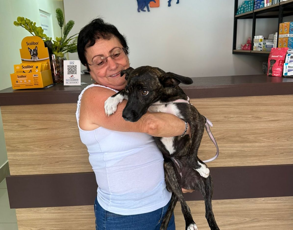 Castração de cães e gatos avança em Rio Claro e projeto de Castramóvel promete ampliar atendimentos