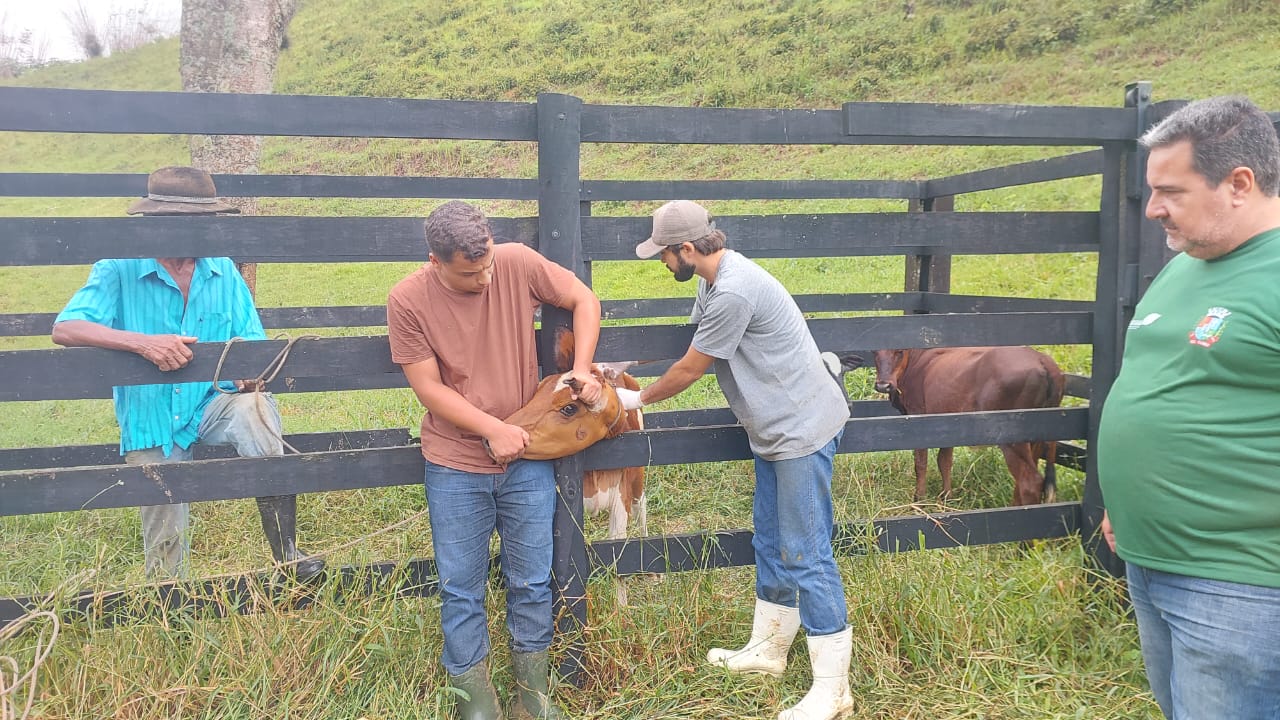 Vacinação contra brucelose começa em Rio Claro