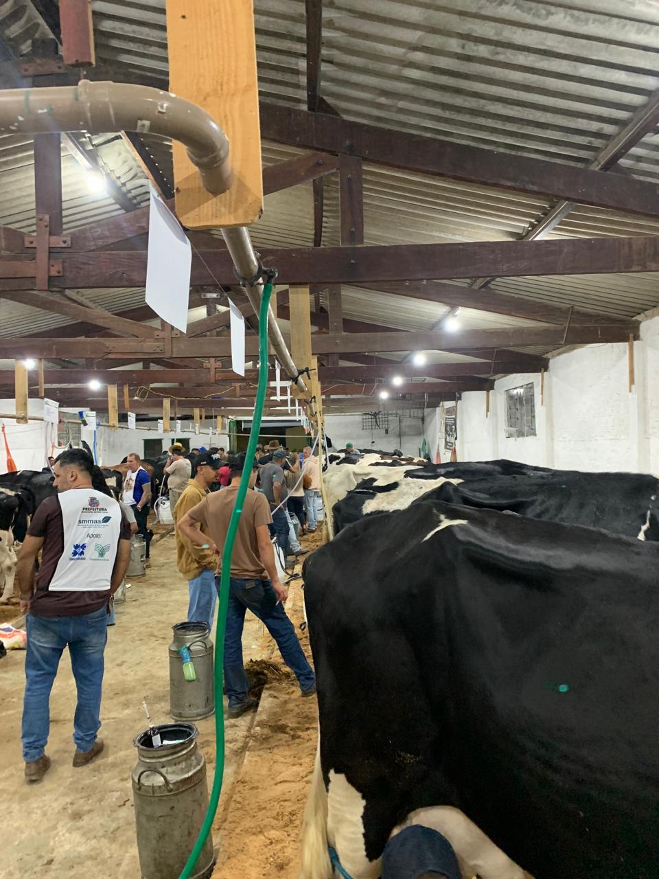 Torneio Leiteiro de Rio Claro será realizado durante a Festa do Peão