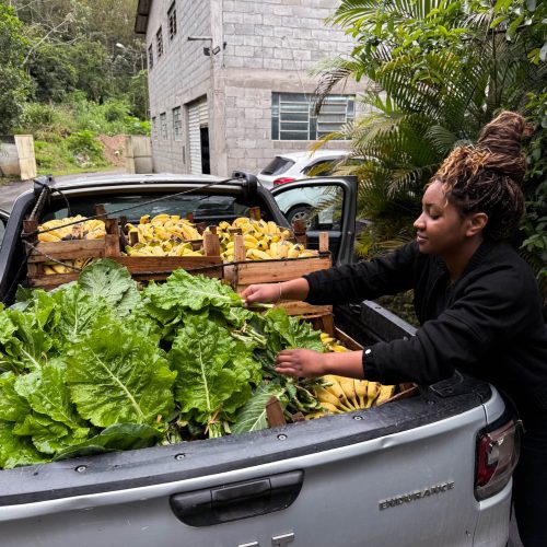 Agricultura familiar ganha espaço na merenda das escolas de Rio Claro