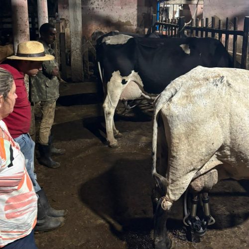 Rio Claro realiza 1º Torneio Leiteiro Interfazendas