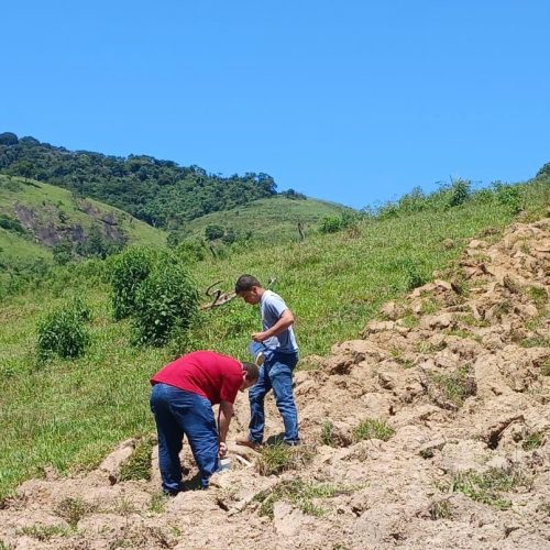 Programa municipal busca recolocar Rio Claro no mapa da cafeicultura