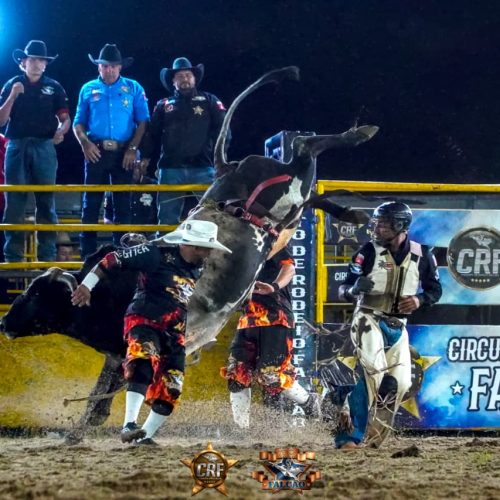 Resgate da tradição emociona público e marca retomada do rodeio em Rio Claro
